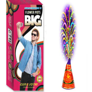 Flower Pot Big | 1 Box