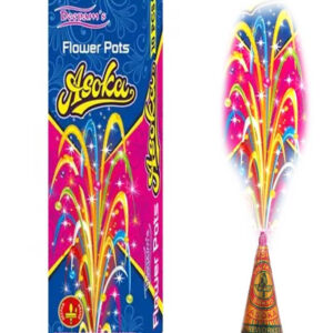 Flower Pot Ashoka | 1 Box